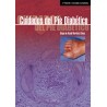 Cuidados del pie diabético